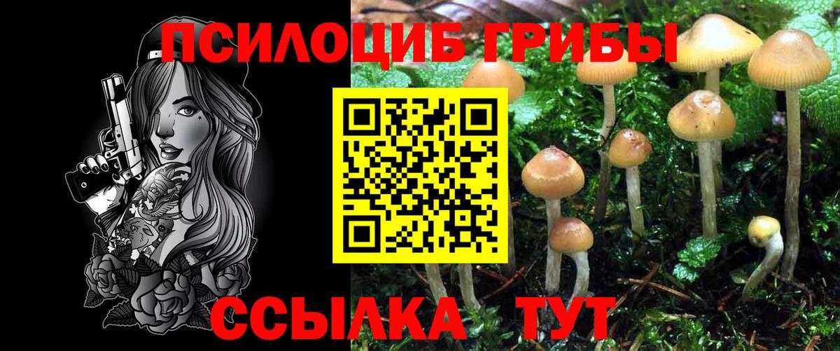 Псилоцибиновые грибы Psilocybine cubensis  Вход с VPN  Строитель 