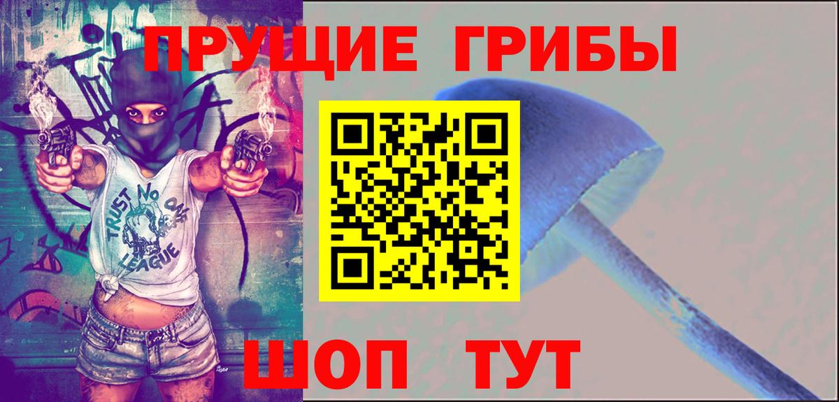 Псилоцибиновые грибы мицелий Строитель