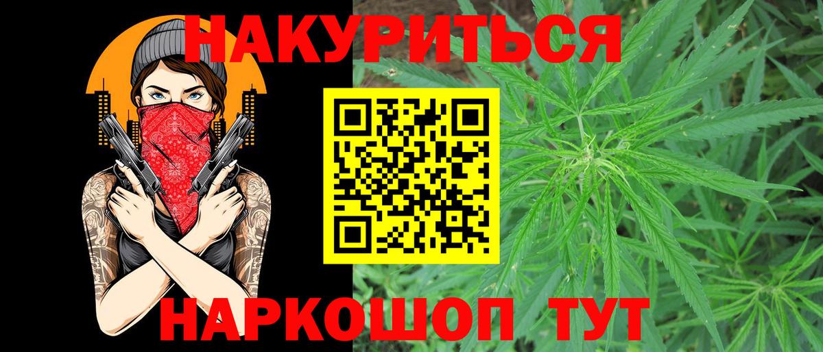 Бошки марихуана планчик  Бошки Шишки гибрид  МАРИХУАНА Amnesia  Строитель  Вход с VPN  Канабис план 